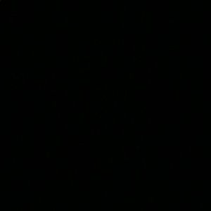 Meet your Posher, Autumn